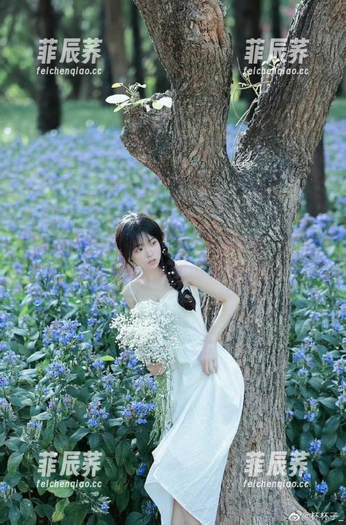 寻找“51免费吃瓜”地址的方法，教你如何轻松获取免费吃瓜资源！