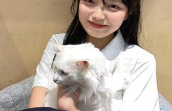 甜美少女带路，58吃瓜网入口等你来嗑瓜子