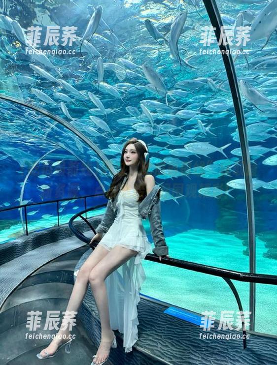 通过“吃瓜最前线”获取最新资源，点击链接一起围观精彩！