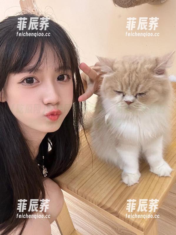 吃瓜网官网网站，免费分享你的吃瓜经历与八卦故事！