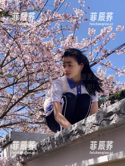 网红黑料吃瓜最新更新，带你了解娱乐圈里的隐秘真相！